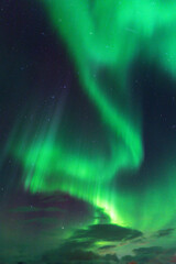 Equinox Aurora and Northern light on the sky, heavenly aurora borealis in green, purple and red over our head! amazing and beautiful, incredible strong dancing lady aurora like a phenix, rays of light