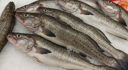 Fresh Burbot on Ice at Supermarket - Fresh, frozen burbot fish displayed on ice at a supermarket.  Concepts: freshness, seafood, market, cold, nutrition.