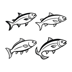 A set of salmon fish vector art illustration