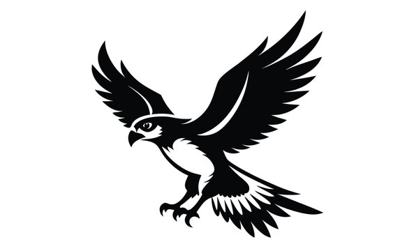 Osprey hawk bird silhouette, osprey bird, osprey silhouette vector, hawk osprey bird vector illustration