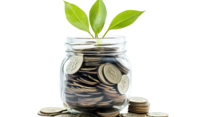 A Thriving Money Tree Sprouting from a Glass Jar Filled with Coins, Symbolizing Financial Growth and Prosperity isolated on white background 