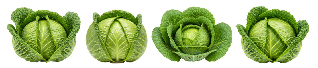 Obraz premium Green Cabbage PNG. Fresh Savoy Cabbage Isolated on transparent Background.