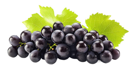 Fototapeta premium Fresh Dark Purple Grapes with Leaves