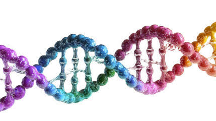 Colorful Representation of DNA Structure