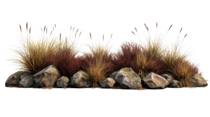 Decorative Grass and Rocks Arrangement