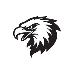 Black and white illustration, stylized eagle head, sharp beak, fierce eye, bold graphic design 