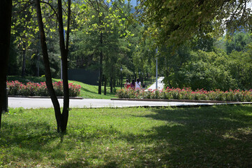 Almaty city summer day in a park. Shade of trees and flowers. Urban outdoors, Satpaev street.