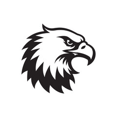 Black and white illustration, stylized eagle head, sharp beak, fierce eye, bold graphic design 