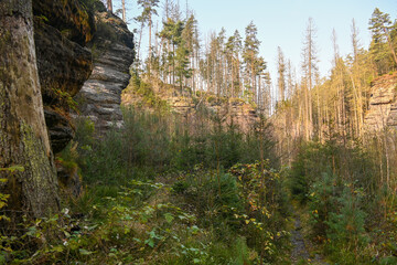 Wanderung von Arnoltice, Felsen im trocken Tal der Kamenice (suchá kamenice) Tschechien