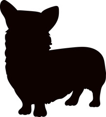 Obraz premium Corgi dog standing silhouette, vector