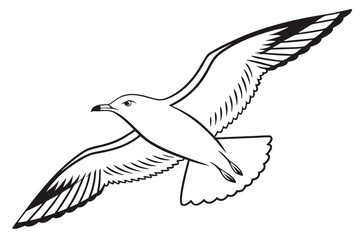 Flying Seagull Vector | Minimalist Bird Design