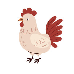 rooster vector illustration of farm birds on white background