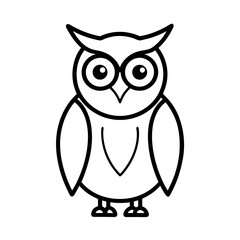 owl on white background