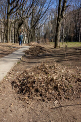 piles of garbage, old dried leaves, brown, footpath, bare trees, branches, park, early spring, landscape, yard, paths, background blue sky, sun, shadows, walk, nature, spring, city,