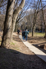 Fototapeta premium grandfather walks with sticks, Scandinavian walking, walking along the path, piles of garbage, old dried leaves, brown, bare trees, branches, park, early spring, landscape, yard, paths, background blu