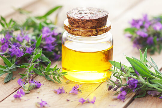 Hyssop essential oil in glass bottle with flowers on wooden table, aromatherapy and narutopathy concept
