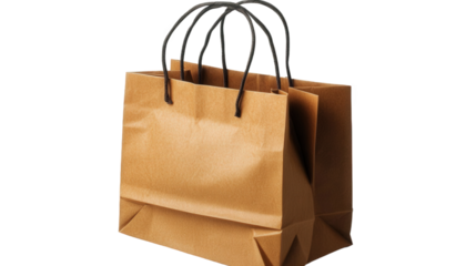 Simple Brown Paper Shopping Bag