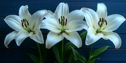 Three White Lilies with Blue Wood.