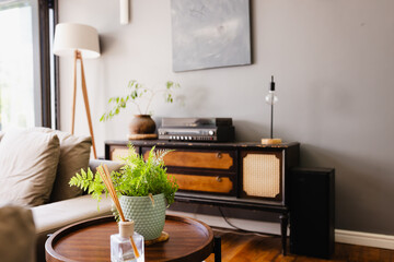Cozy living room with vintage record player and lush green plant on table, at home, copy space