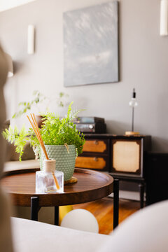 Cozy living room with potted plant and aroma diffuser on wooden table, at home