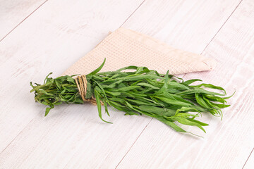 Green estragon branches for cooking
