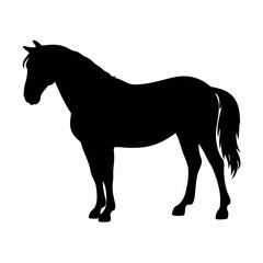 Horse Standup Silhouette Vector – Rearing Stallion Black Illustration, Rearing Horse Silhouette – Black Vector Art, Majestic Stallion Icon – Horse Standing Design, Horse Clipart Black – Wild Horse 
