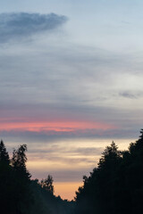 Twilight Serenity: Pink Horizon over Forest Silhouette