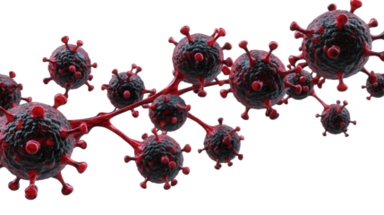Virus Structure and Transmission Mechanisms