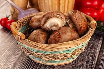 Raw brown champignon heap for cooking