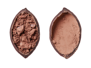 Cocoa pod halves showcasing raw cacao versus processed cocoa powder on a transparent background, cut out