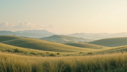 Obraz premium Serene Rolling Hills at Sunrise with Soft Light and Warm Colors