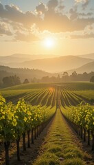 Naklejka premium Majestic Vineyard Landscape at Sunset with Rolling Hills and Clouds