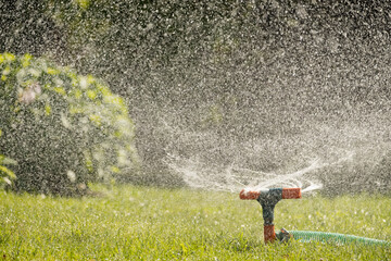 Watering garden with a hose at heat summer. Close up. Automatic smart irrigation system.