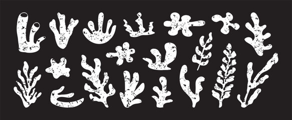 Coral chalk icon, seaweed white crayon set. Underwater plant on chalkboard, cartoon organic shape, cute sea doodle charcoal design. Marine floral collage on blackboard. Tropical vector illustration