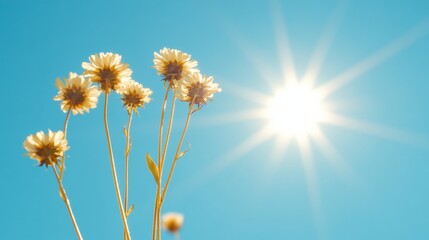 Naklejka premium Sunlit Flora Panorama Vibrant Sunflower Stalks Against Sky - Agricultural Imagery for Sustainable Summer Campaigns and Natural Abundance Promotion