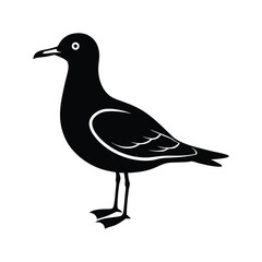 seagull silhouette art