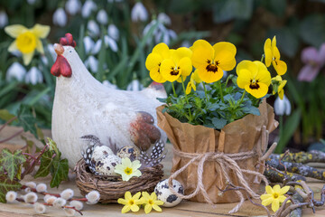 Ostern-Arrangement mit gelbem Hornveilchen  Osterhuhn und Osternest	
