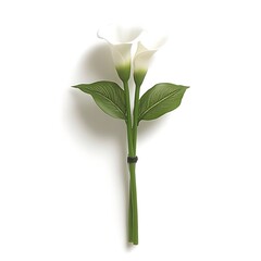 Fototapeta premium Two white calla lilies tied together with green leaves present