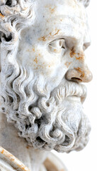 Marble bust, ancient Greek philosopher, profile view, white background