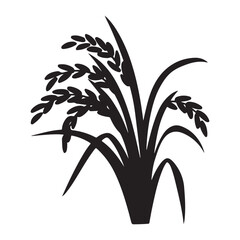 bamboo plant isolated on white