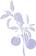 Illustration of Fruit Branch with Leaves