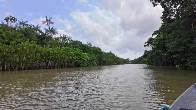 River boat tour on the Guama River at Belem do Para, a city on the north area of Brazil. Naturalistic green area by amazon forest.