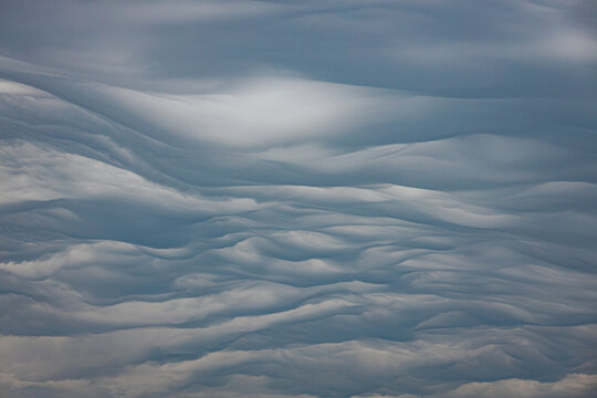 Striking undulatus asperatus clouds roll dramatically across the sky above silhouettes of leafless winter trees, creating a surreal and moody atmosphere. Includes copy space.