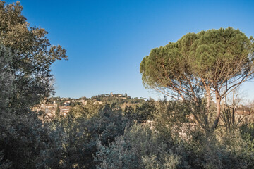 View of a hill of Florence, Italy