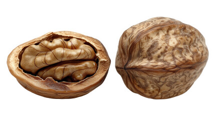 walnut isolated on white background