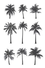 Different illustrations of stylized palm trees displayed on a white background