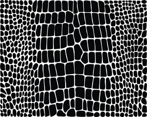 Seamless pattern of alligator leather on a white background