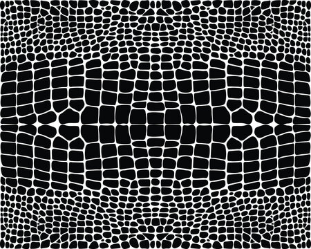 Seamless pattern of alligator leather on a white background