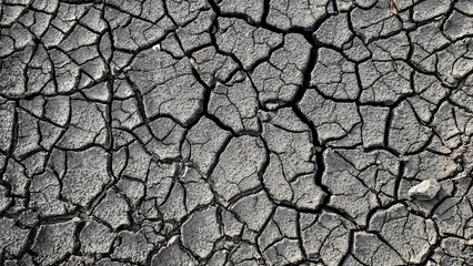 Cracked Earth: A close-up view of parched earth, a stark display of nature's resilience, showcasing the textures of drought