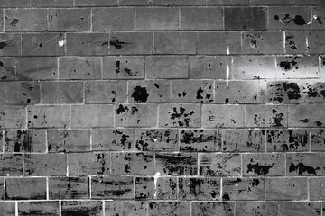 A close-up shot of a worn-out brick wall in black and white.